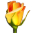 icon_rosegarden.png